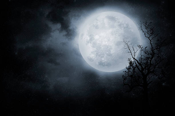 Sharad Purnima 2022 Date Auspicious Yogas Importance And Remedies are Best On This Day