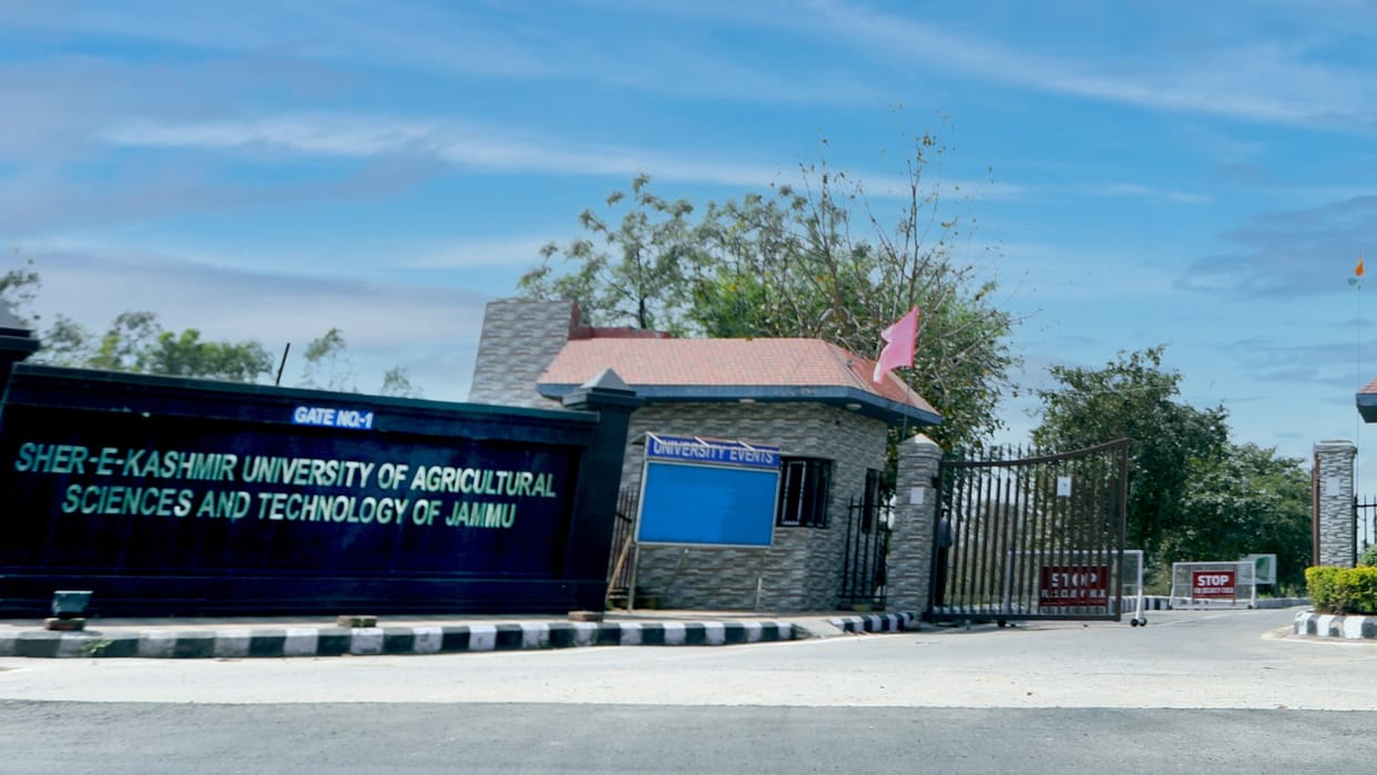 Skuast Jammu Recruitment for 53 Assistant Professor Posts Started job in jammu
