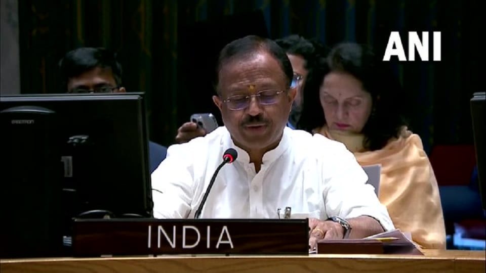 India calls on Int'l community to prevent terrorists from accessing Africa's resources