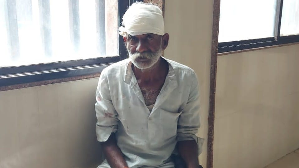 daughter-in-law broke father-in-law's head with a stick