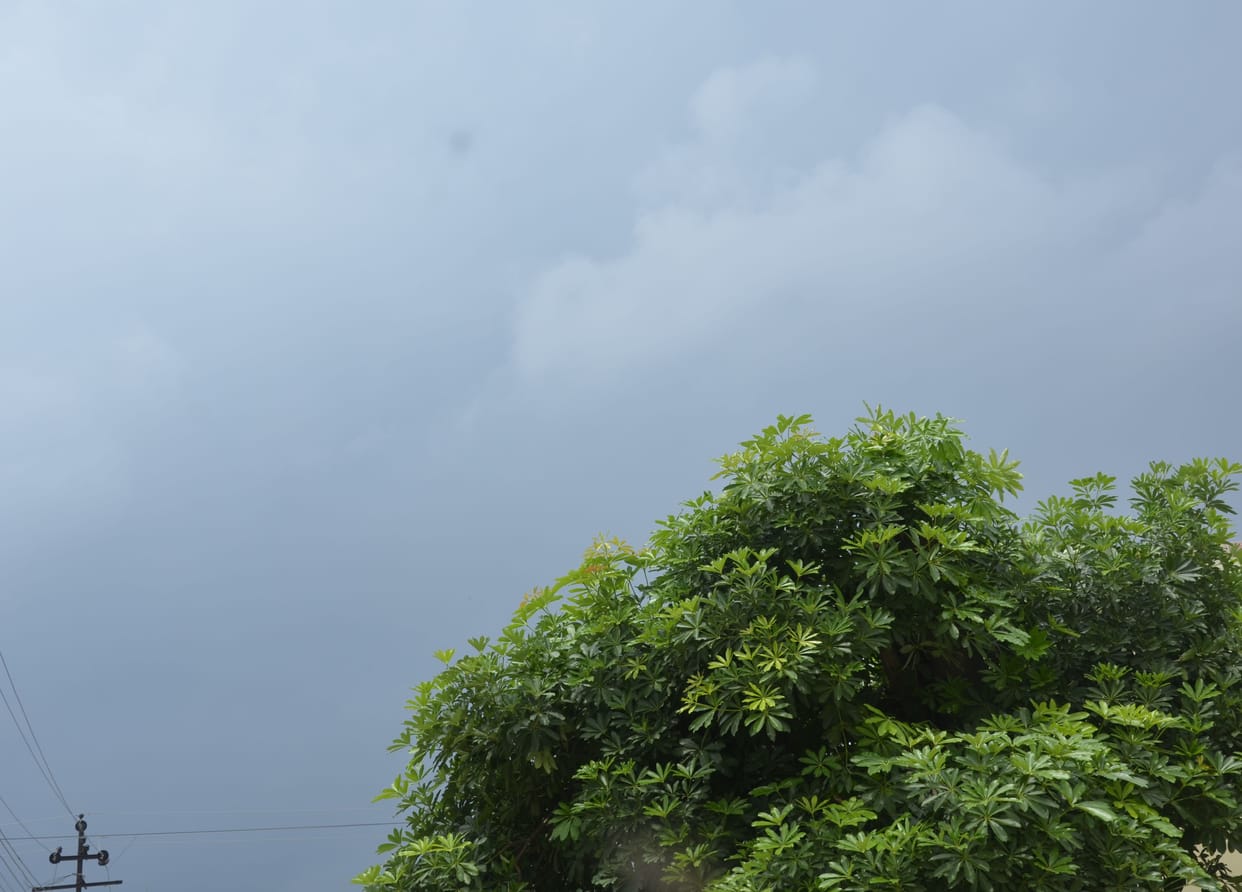 Weather will remain the same throughout the week, heavy rain is also expected