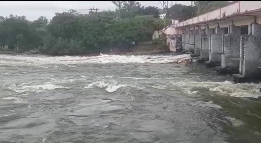 Bhopal News: Due to heavy rains in Bhopal, the pond is filled with water, open three gates of Bhadbhada