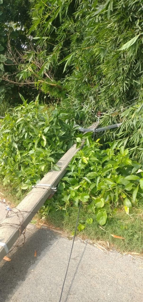 lightening on electric wire, power cut in 50 villeges