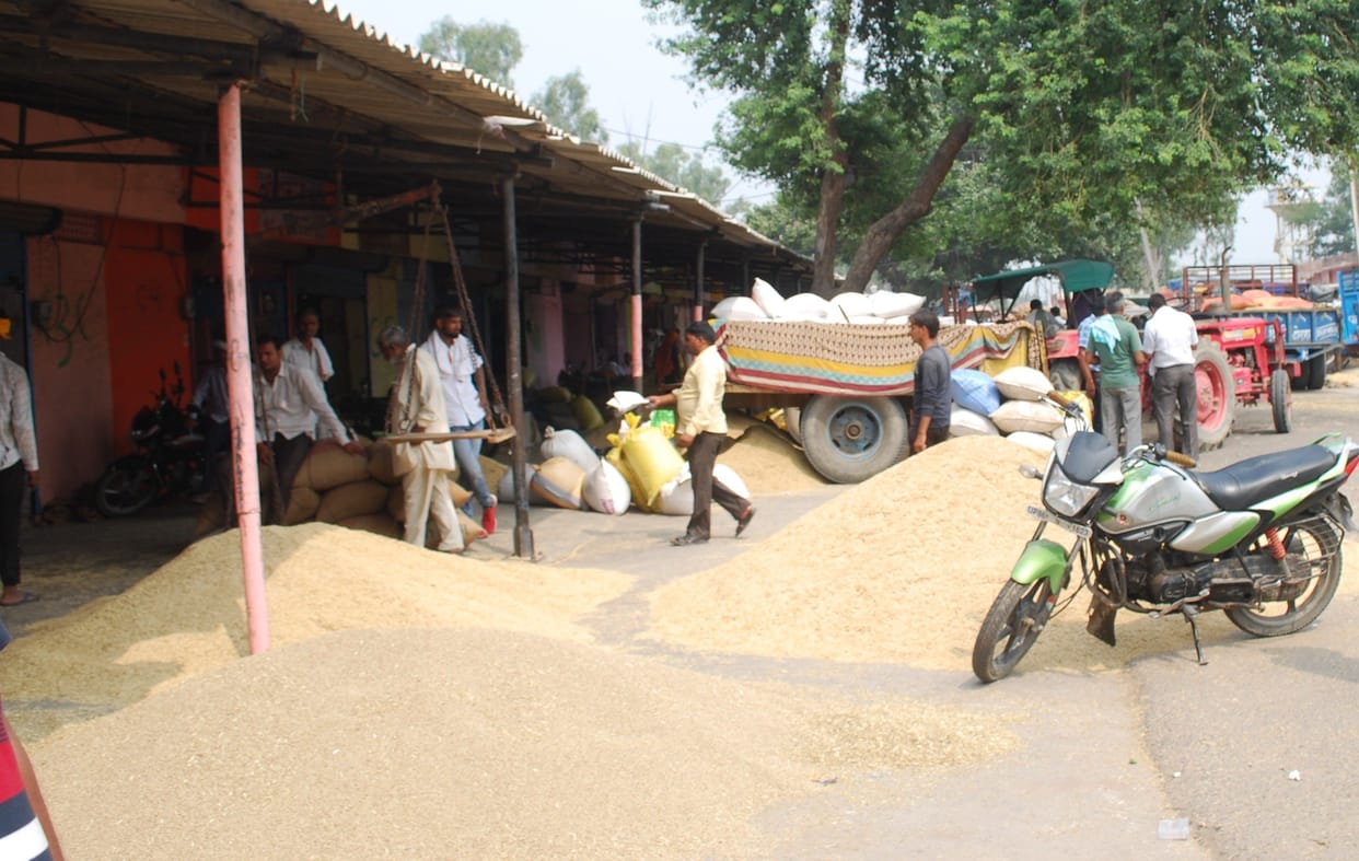 Hathras: 27 thousand quintals of paddy reached the market, the purchasing center just heard