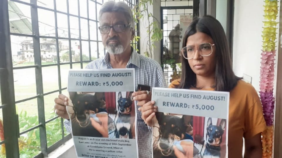 Meerut News: Megha came to her home in Meerut to find dog from London