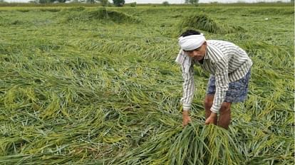 UP: Loss in Kharif, compensation in Rabi