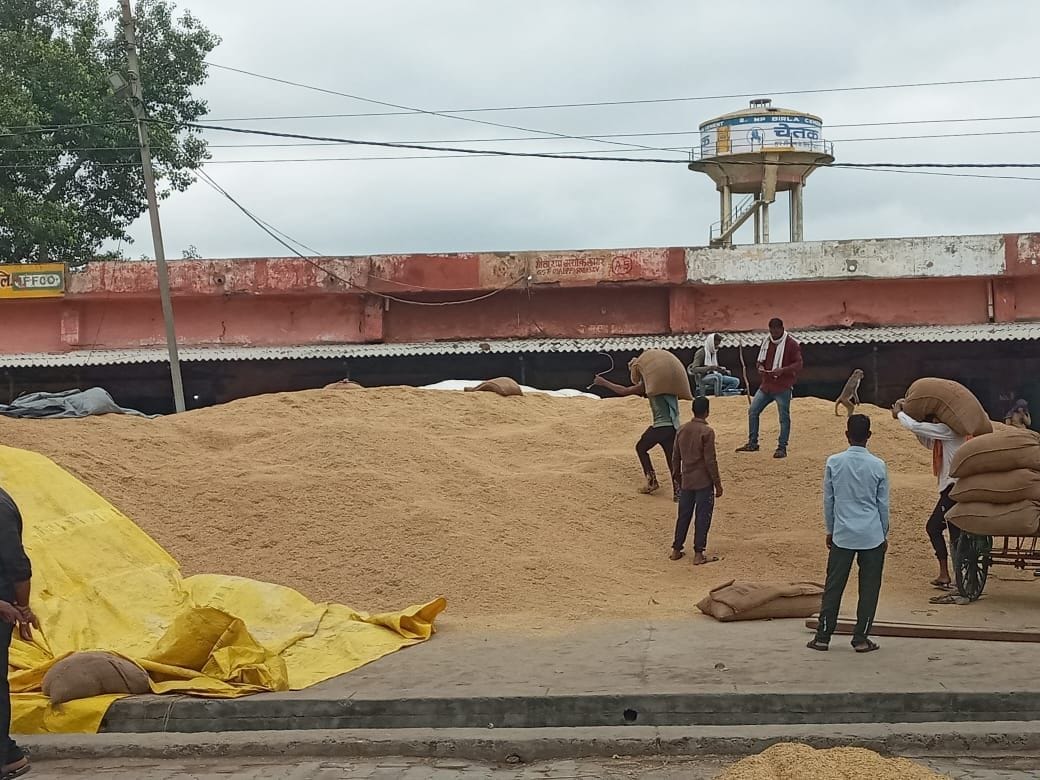 Hathras: Now the cleaning of paddy will be done easily at the purchasing centers