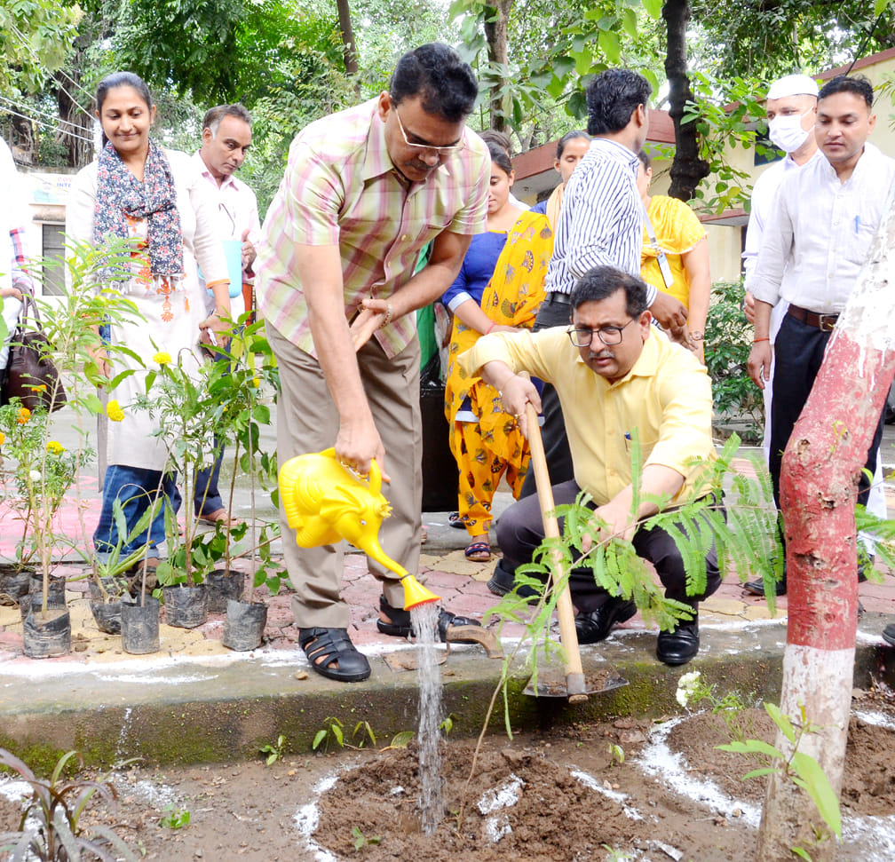 Plantation drive launched in Collectorate