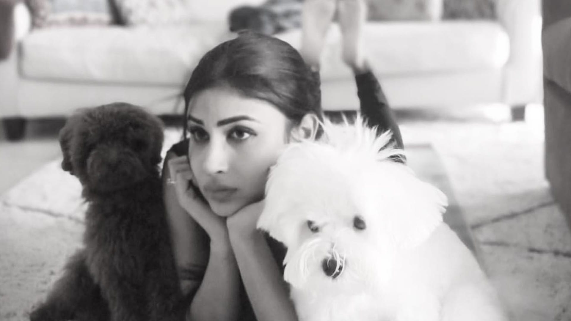 Photos of the Day Shama Sikander Bold Look Rashmika Mandanna Cute Photo Celebrity Updates