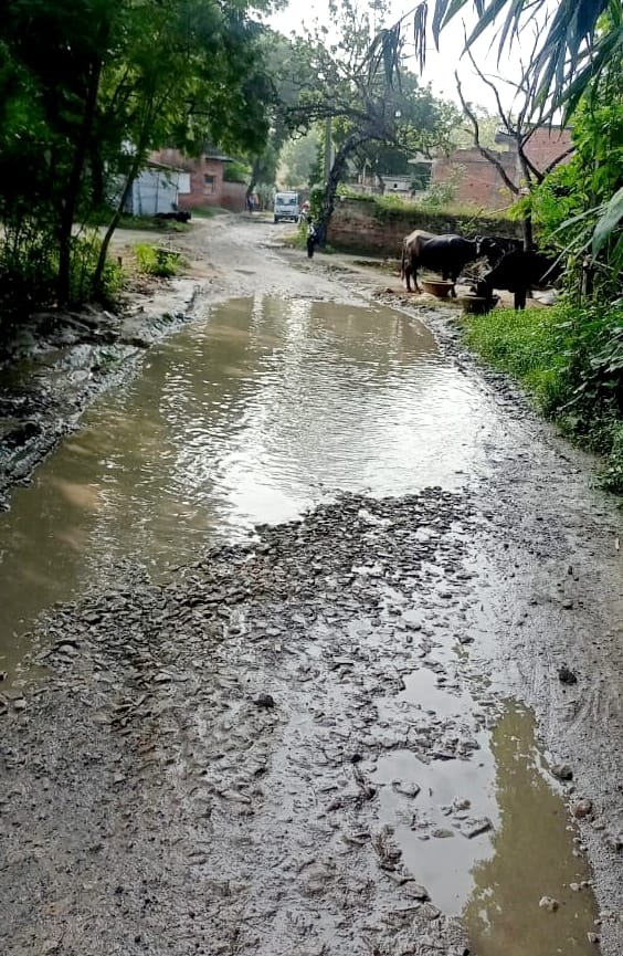babu ji walk slowly...there are big potholes in this path