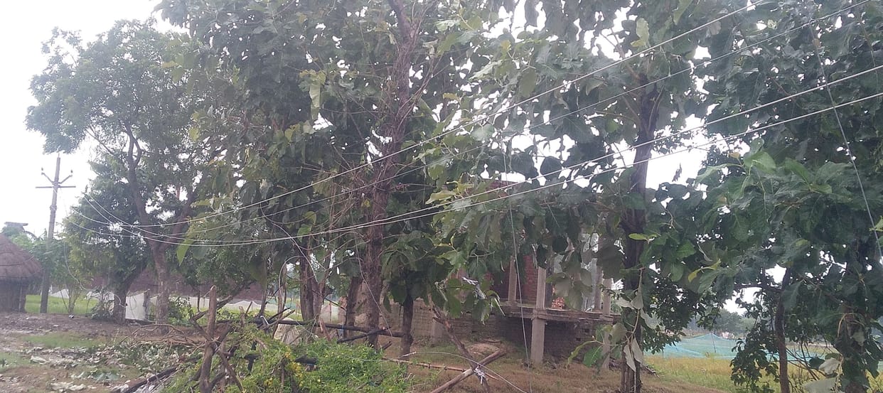 wire of high tension line fallen