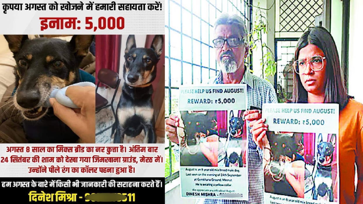 Meerut: London woman searching for August in October, also posted on social media missing Dog
