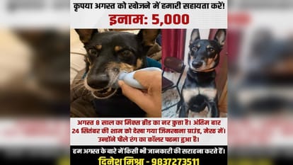 Meerut: London woman searching for August in October, also posted on social media missing Dog