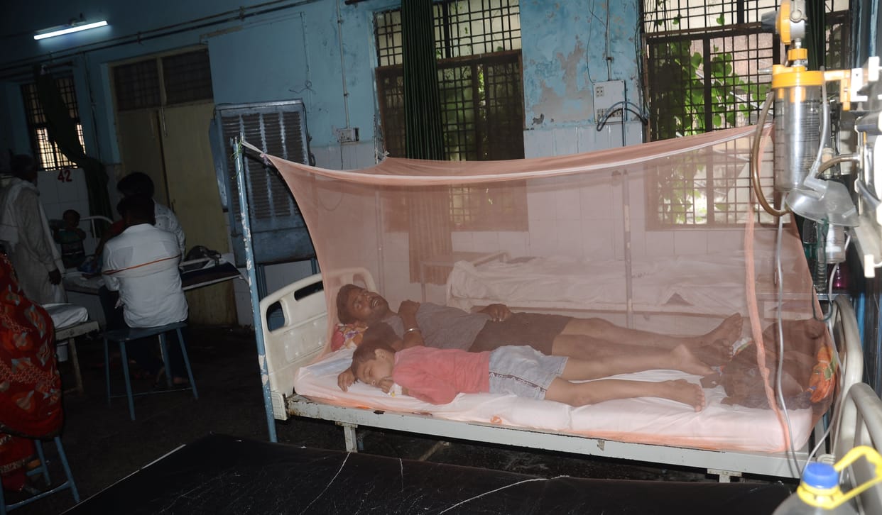 11 dengue patients in 24 hours, a boy found suffering from encephalitis