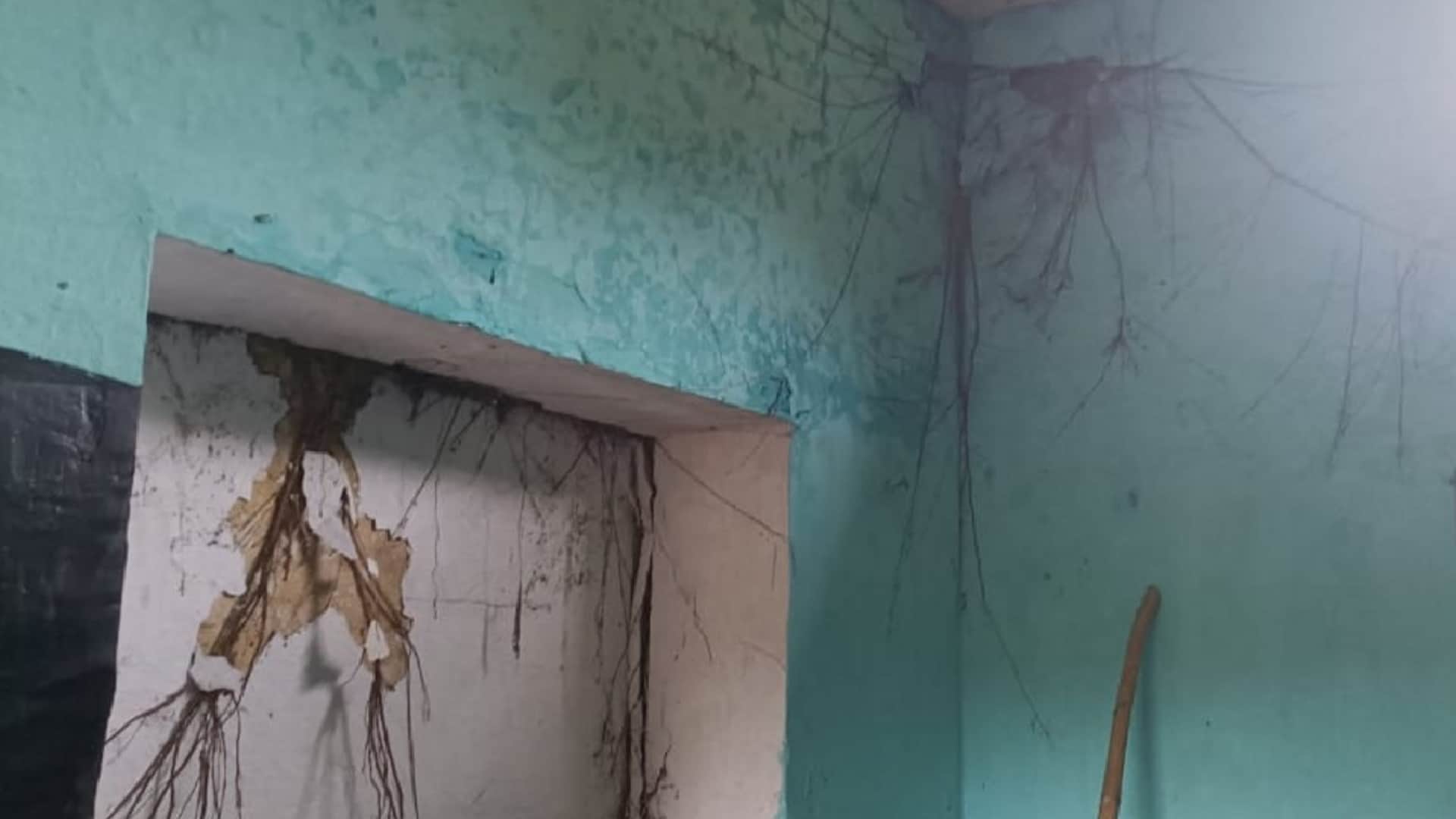 Baghpat: Students are studing in dilapidated schools, broken walls and trees coming out of the