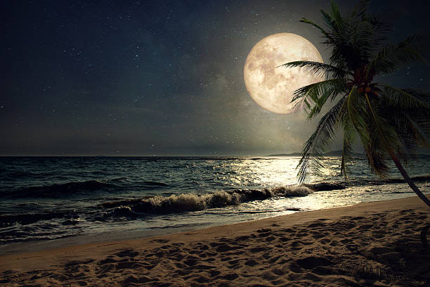Sharad Purnima 2022 Upay Try These Remedy On Sharad Purnima Night You Will Get Money