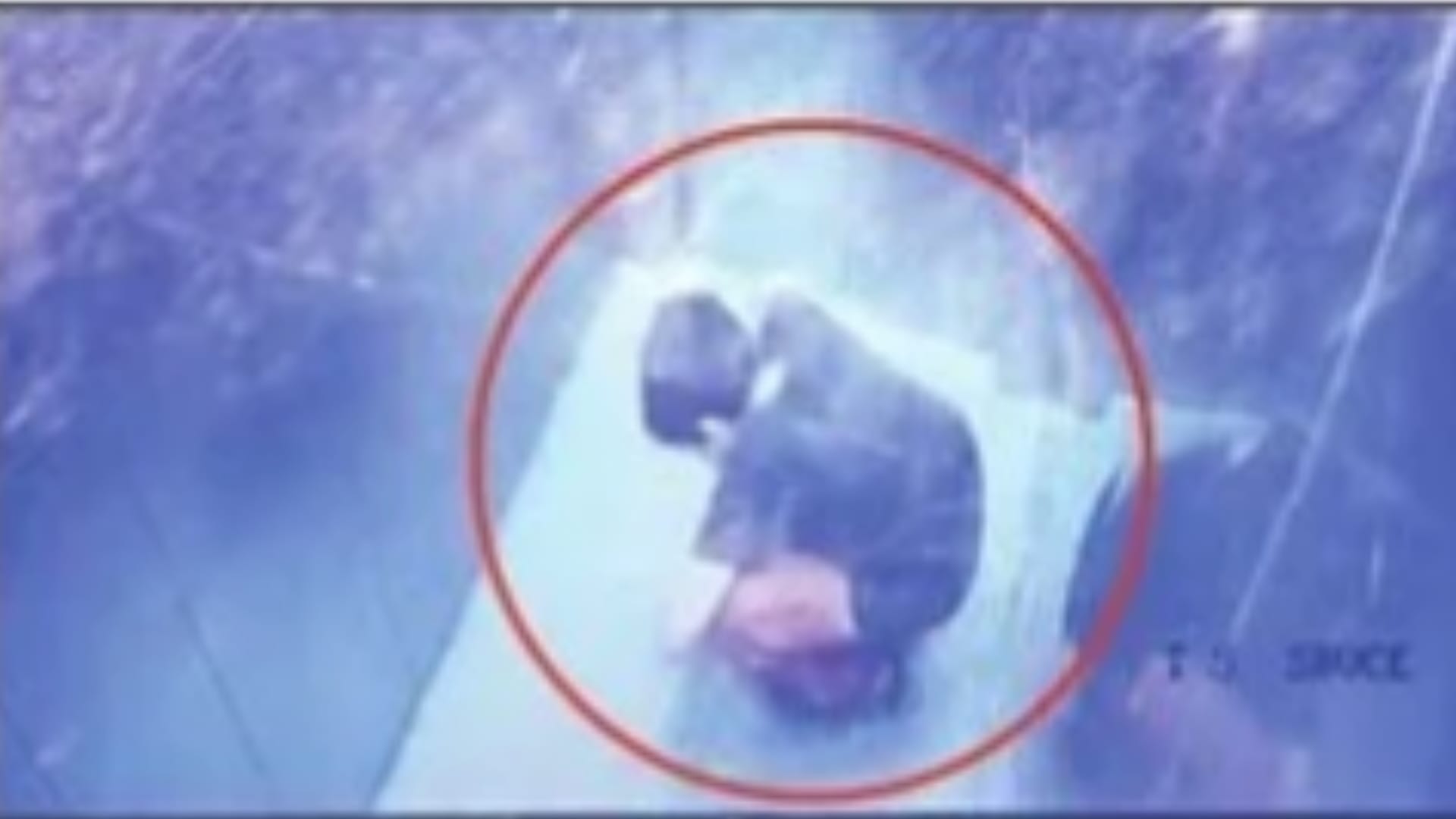Greater Noida 11 year old boy trapped in lift of Paramount Emotions Society struggle seen in CCTV footage