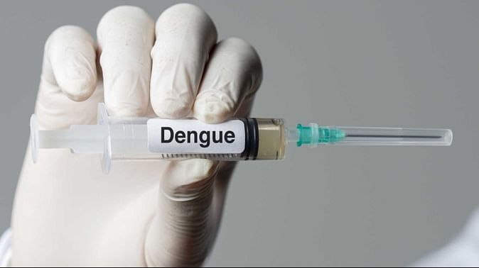 बद्दी में डेंगू की दस्तक, दो लोगों में मिले लक्षण, विभाग अलर्ट