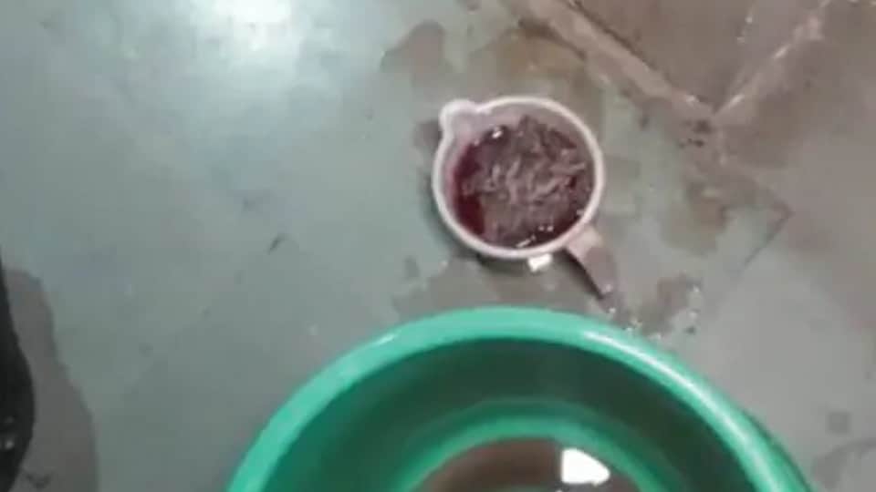 Lawyer's son commits suicide, family under suspicion