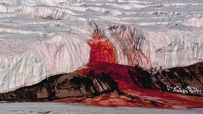 Blood Falls from Antarctica’s Glacier Know Interesting Facts Behind this Mystery