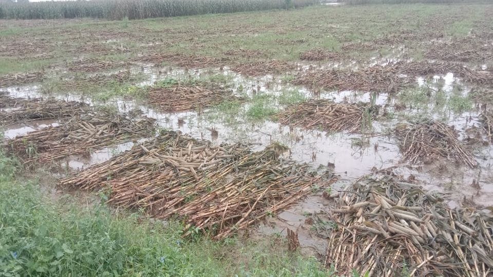 Farmer commits suicide due to crop failure in Poonch Jhansi