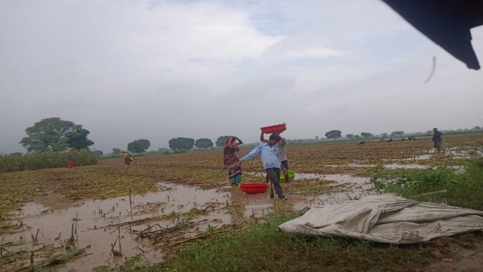 Rain in Agra broke the record of average rainfall for October