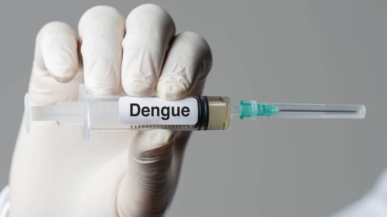 National Dengue Day 2023 Date Know History Theme and Importance in Hindi
