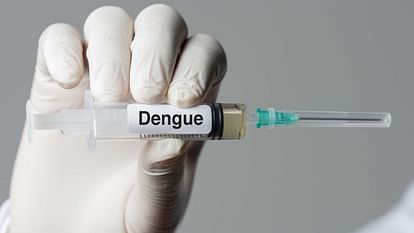 Dengue report of four people has come positive in Agra Chikungunya patient also found here
