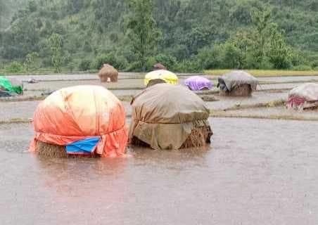 Road Block in Champawat
