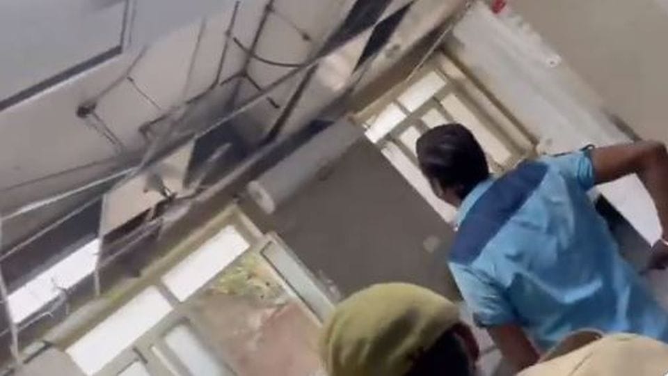 Monkeys entered in the labor room of Women District Hospital Agra