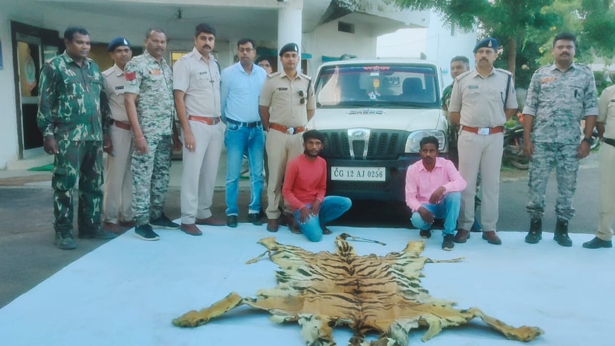 Two smugglers arrested with tiger skin the price is being told 50 lakhs