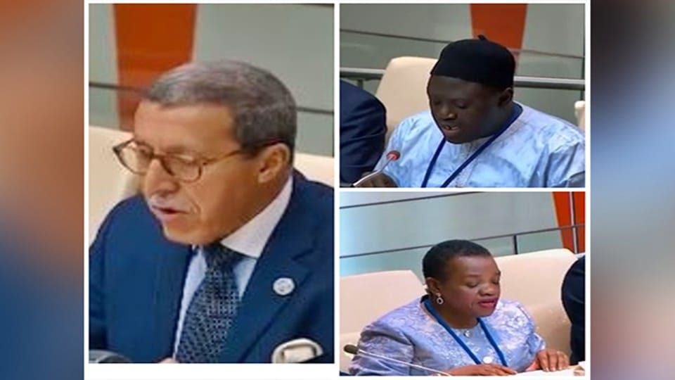 Countries laud India contributions on 5th anniversary of India UN Development Partnership Fund