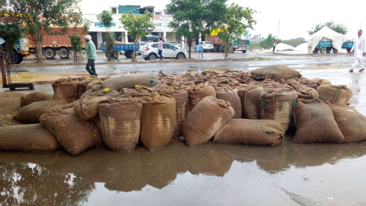 Rain expected in Haryana till October 11