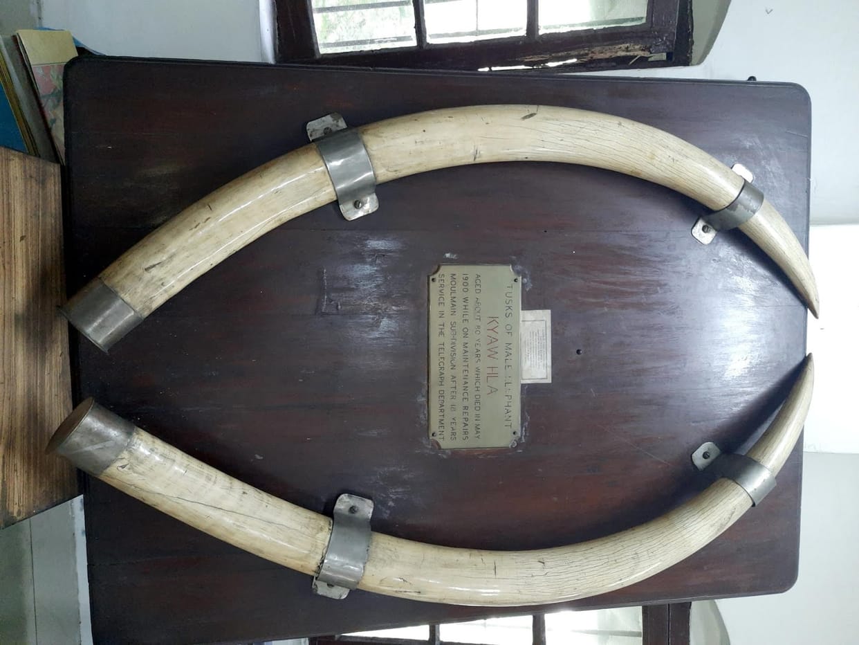 Horses and elephants were once used to send mail