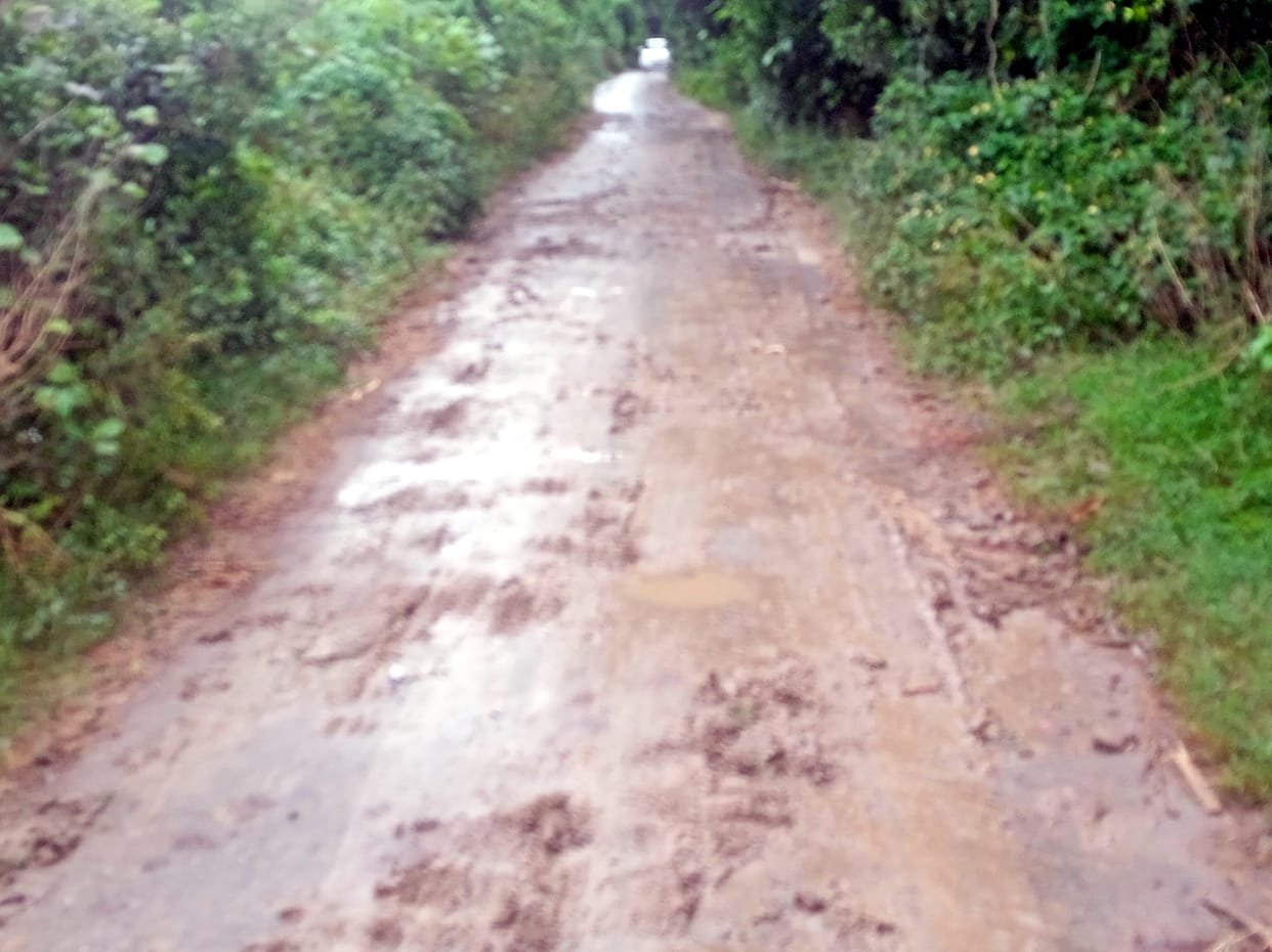 Asked for four crores, got two and a half crores, how will the road be pit-free