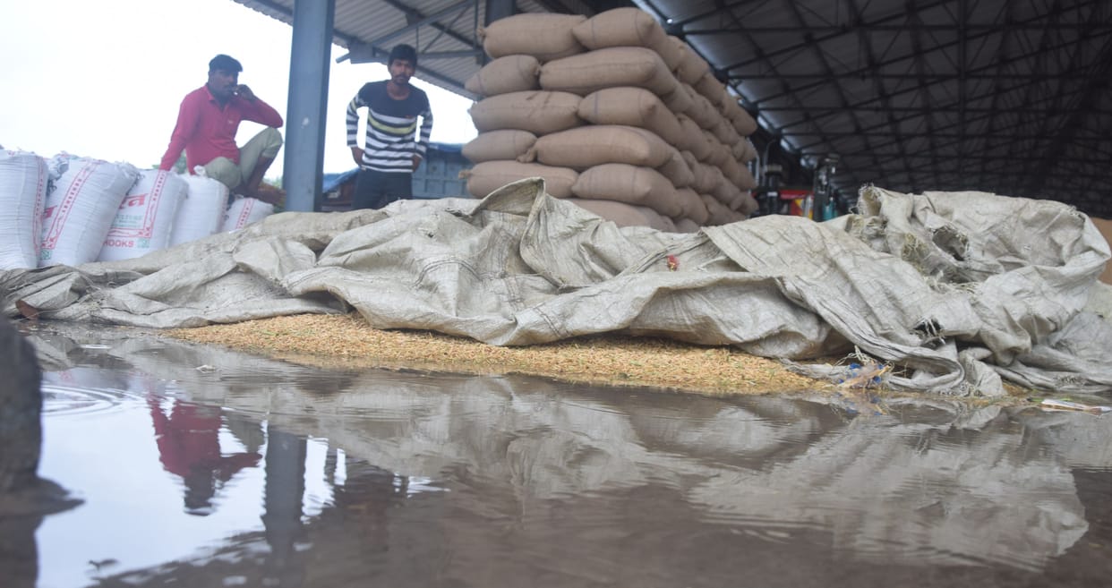 Rain increased the coolness, farmers upset due to soaking of paddy in the mandis