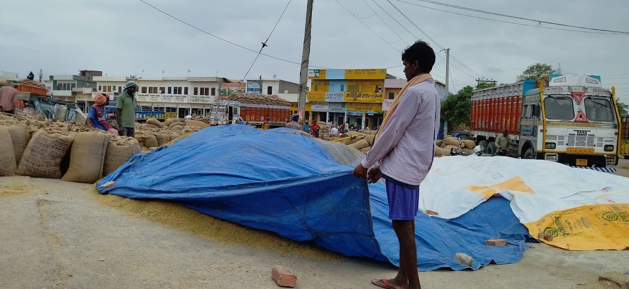 30 lakh quintals of paddy lying in the open, breathing stuck