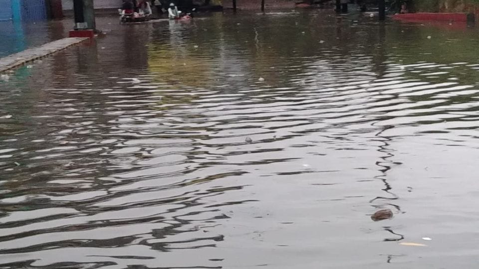 Three year old girl drowned in Yamuna with rain water on her birthday in mathura