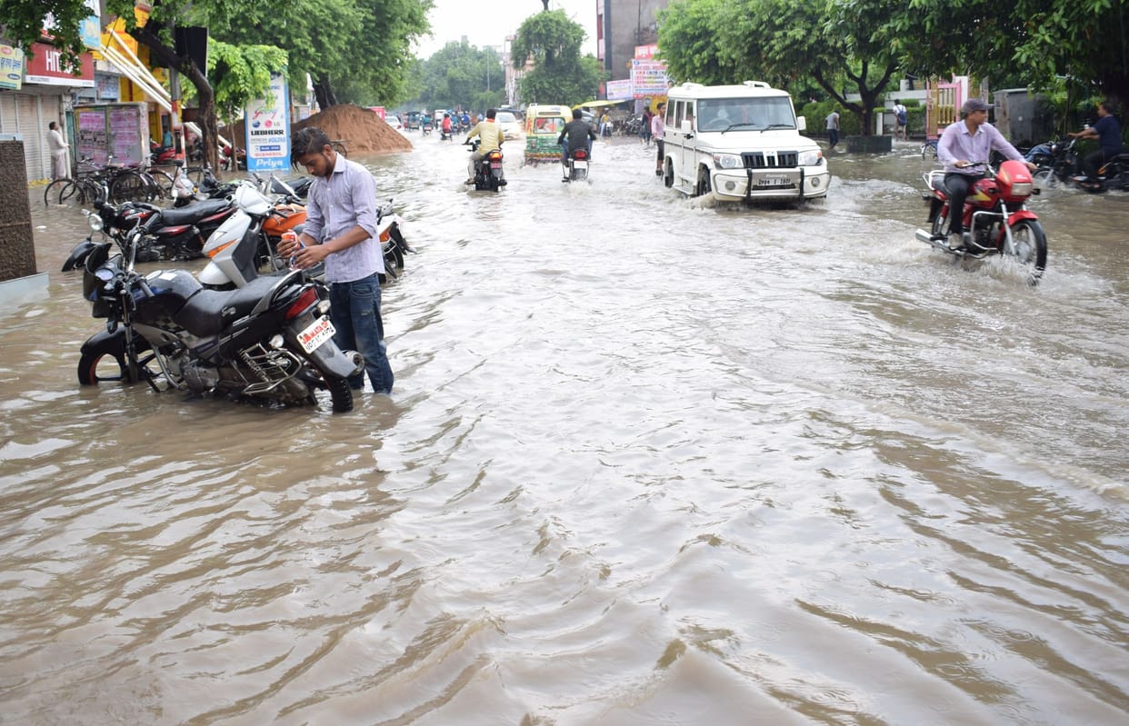 crops distroyed by heavy rain