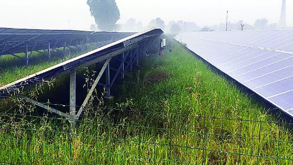 jammu kashmir: Country first carbon-neutral panchayat is in disrepair, swamps around 1500 solar panels