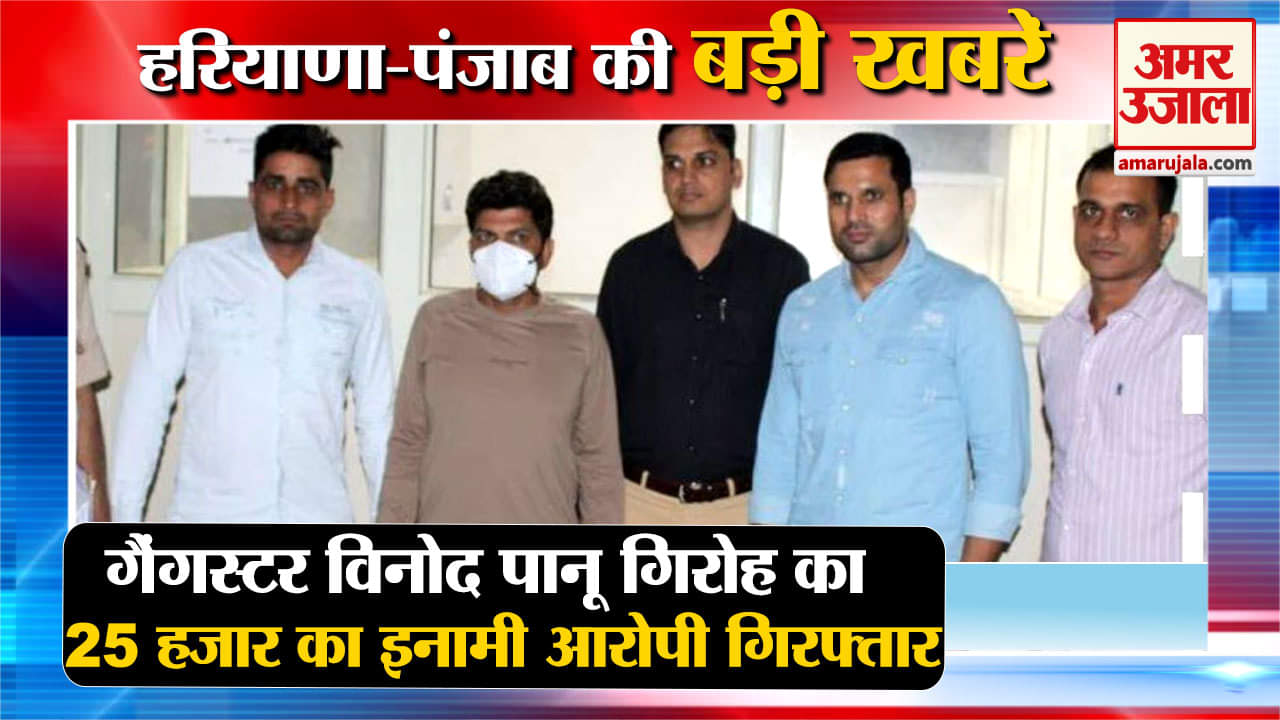 हरियाणा न्यूज