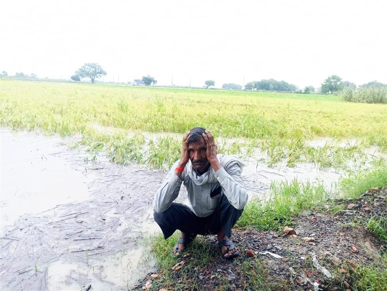 Hathras: After the rain stops, the assessment of the destroyed crop will be done