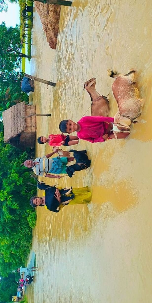 dams are in danger due to flood in siddharthnagar