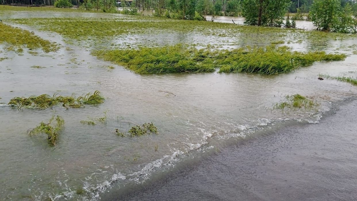 The condition of the villages due to floods, farmers torn condition