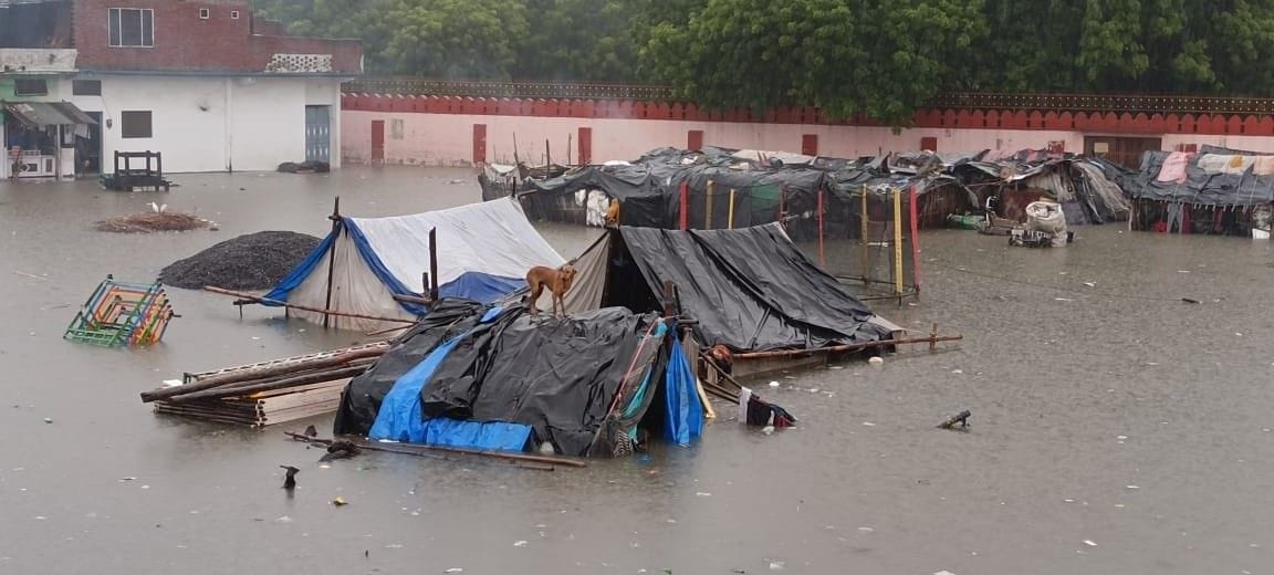Panic again appeared in some areas, again in Shahjamal's condition