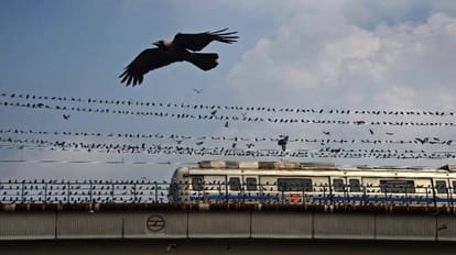 Weather Update: दिल्ली-NCR में फिर बदलने जा रहा है मौसम, दो दिन बारिश के आसार; चलेगी धूलभरी हवा weather news mausam ki jankari Chances of rain in Delhi-NCR on April 9 and 11