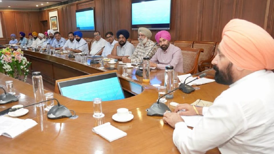 Horticulture estates to be established in four districts of Punjab
