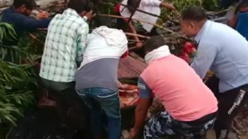 Tree Fell on hut in Pehowa of Kurukshetra in Rain