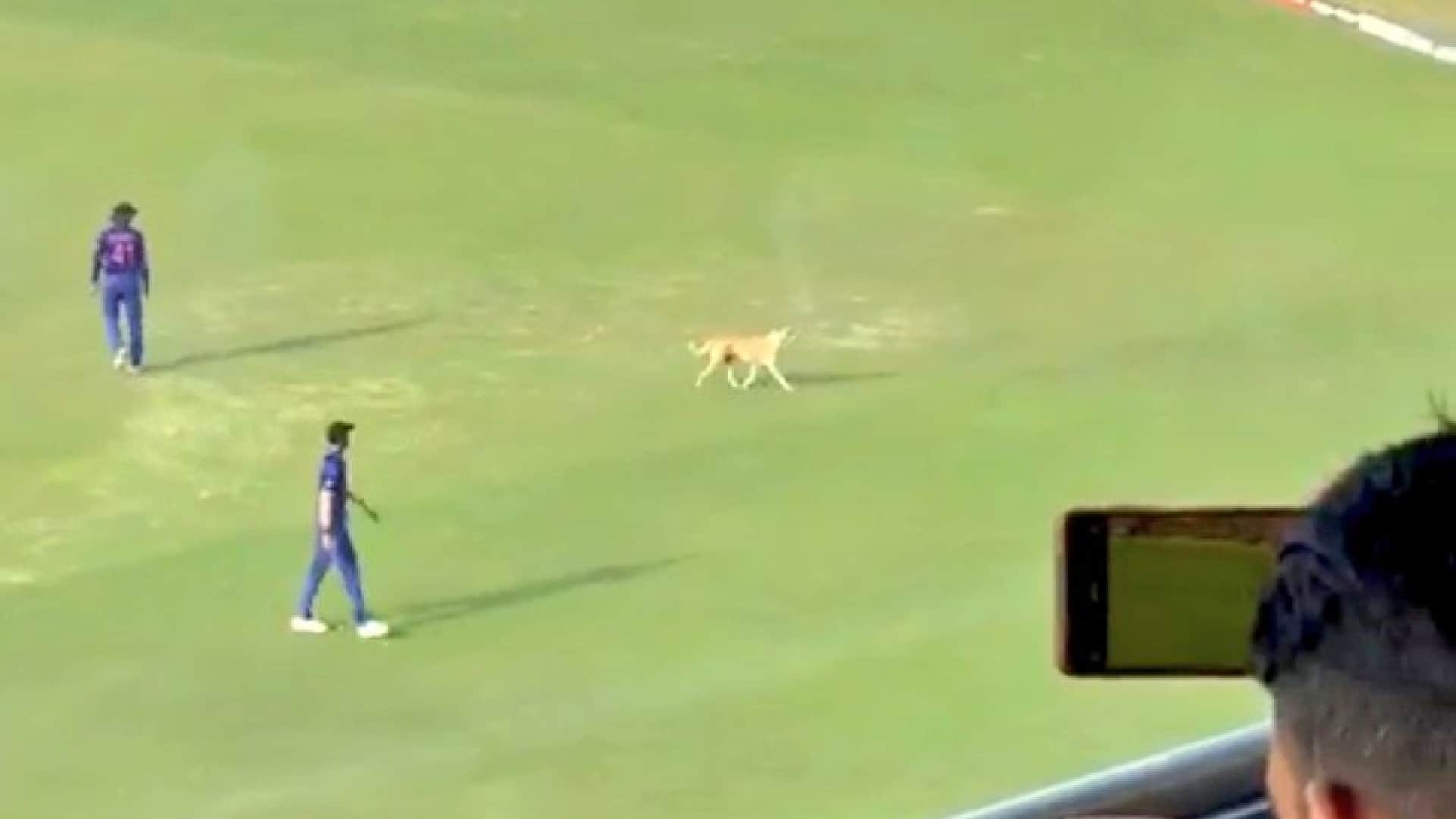 IND vs SA 3rd ODI 2022 Match Highlights Eye Catching Photos and Moments From Arun Jaitely Cricket Stadium