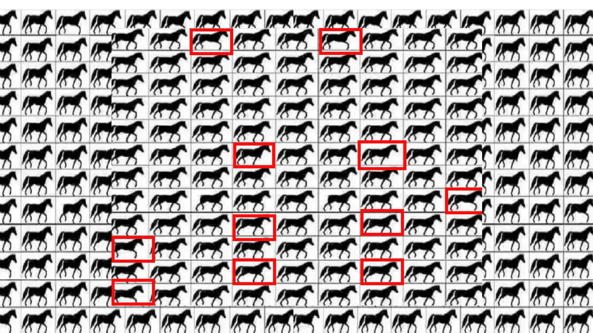 Optical Illusion viral photo spot horses with 3 legs in 20 seconds brain teaser photo puzzle